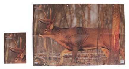 B Casey EZ Score Deer 23"X35" 2Pk